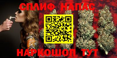 ПСИЛОЦИБИНОВЫЕ ГРИБЫ Краснокаменск