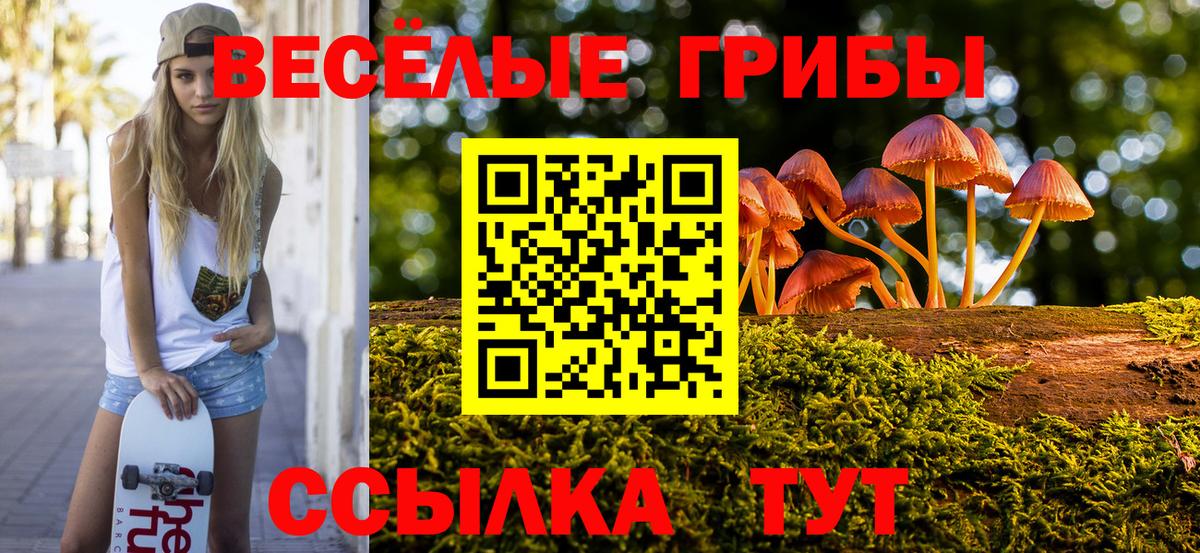 где можно купить наркотик  Вход с VPN  Казань  Псилоцибиновые грибы прущие грибы 